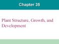 Plant Structure, Growth, and Development PowerPoint PPT Presentation