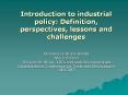 Introduction to industrial policy: Definition, perspectives, lessons and challenges PowerPoint PPT Presentation