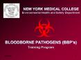 NEW YORK MEDICAL COLLEGE Environmental Health and Safety Department PowerPoint PPT Presentation