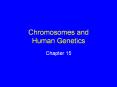 Chromosomes and Human Genetics PowerPoint PPT Presentation