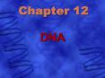 DNA PowerPoint PPT Presentation