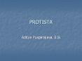 PROTISTA PowerPoint PPT Presentation