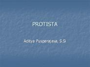 PROTISTA