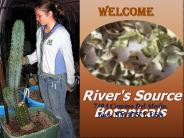 Medical Herb Seeds