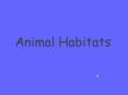 Animal Habitats PowerPoint PPT Presentation