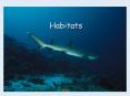 Habitats PowerPoint PPT Presentation