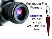 Multimedia File Formats