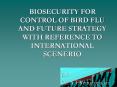 BIOSECURITY FOR CONTROL OF BIRD FLU AND FUTURE STRATEGY WITH REFERENCE TO INTERNATIONAL SCENERIO PowerPoint PPT Presentation