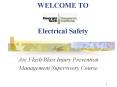 WELCOME TO  Electrical Safety PowerPoint PPT Presentation