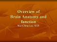 Overview of Brain Anatomy and function PowerPoint PPT Presentation