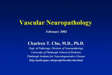 Vascular Neuropathology February 2002