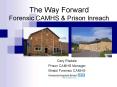 The Way Forward Forensic CAMHS PowerPoint PPT Presentation
