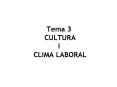 Tema 3 CULTURA i CLIMA LABORAL PowerPoint PPT Presentation