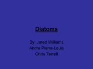 Diatoms