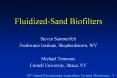 Fluidized-Sand Biofilters PowerPoint PPT Presentation