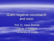 Gram-negative coccobacilli and cocci