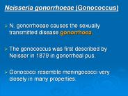 Neisseria gonorrhoeae (Gonococcus)