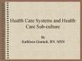 Health Care Systems and Health Care Sub-culture PowerPoint PPT Presentation
