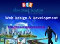 ECommerce website design Winnipeg a ray of hope in the economy of Canada PowerPoint PPT Presentation