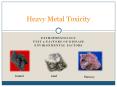 Heavy Metal Toxicity PowerPoint PPT Presentation