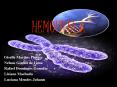 HEMOFILIA A PowerPoint PPT Presentation