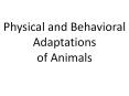 Physical and Behavioral Adaptations of Animals PowerPoint PPT Presentation