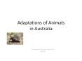 Adaptations of Animals in Australia PowerPoint PPT Presentation