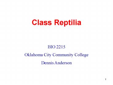 Class Reptilia