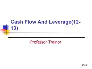 Cash Flow And Leverage(12-13)