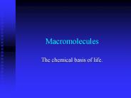 Macromolecules