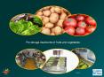 Pre storage treatments of fruits and vegetables PowerPoint PPT Presentation