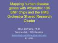 Mapping human disease genes with Affymetrix 10K SNP chips and the HMS Orchestra Shared Research Cluster PowerPoint PPT Presentation