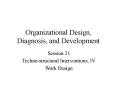 Organizational Design, Diagnosis, and Development PowerPoint PPT Presentation