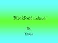 Blackfoot Indians PowerPoint PPT Presentation