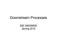 Downstream Processes PowerPoint PPT Presentation