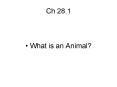 Ch 28.1 PowerPoint PPT Presentation