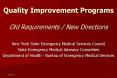 Quality Improvement Programs Old Requirements / New Directions PowerPoint PPT Presentation