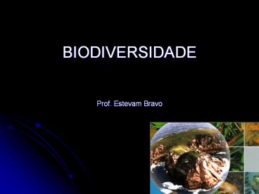 BIODIVERSIDADE  Prof. Estevam Bravo