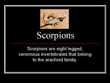 presentation player overlay