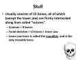 Skull PowerPoint PPT Presentation