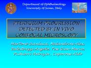 Diapositiva 1