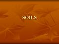 SOILS PowerPoint PPT Presentation