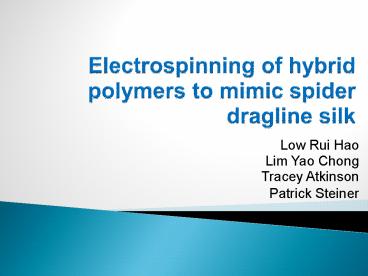 Electrospinning of hybrid polymers to mimic spider dragline silk