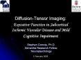 Diffusion-Tensor Imaging:  Executive Function in Subcortical Ischemic Vascular Disease and Mild Cognitive Impairment PowerPoint PPT Presentation