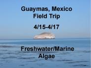 Guaymas, Mexico Field Trip