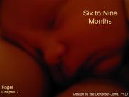 Six to Nine Months