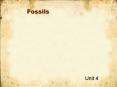 Fossils PowerPoint PPT Presentation