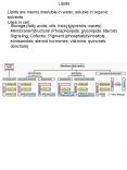 Lipids PowerPoint PPT Presentation