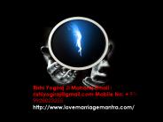 love marriage specialist astrologer in india
