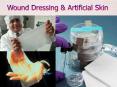 Wound Dressing PowerPoint PPT Presentation